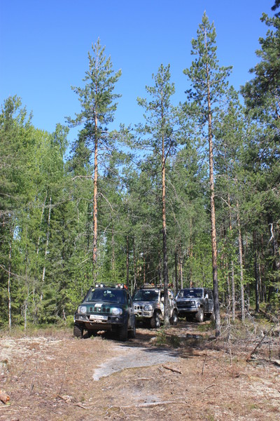 i-5031.jpg
