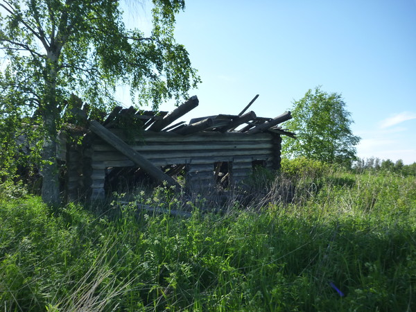 i-2958.jpg