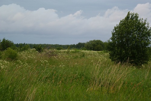 0_72ede_88d6c09f_L.jpg