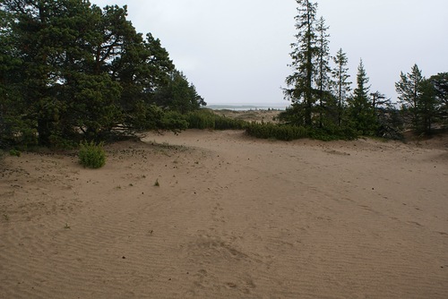 0_72fd2_1ad6e309_L.jpg