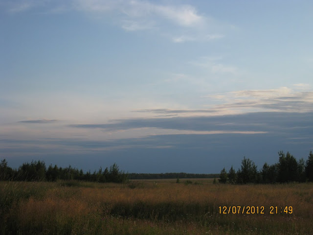 IMG_7989.jpg