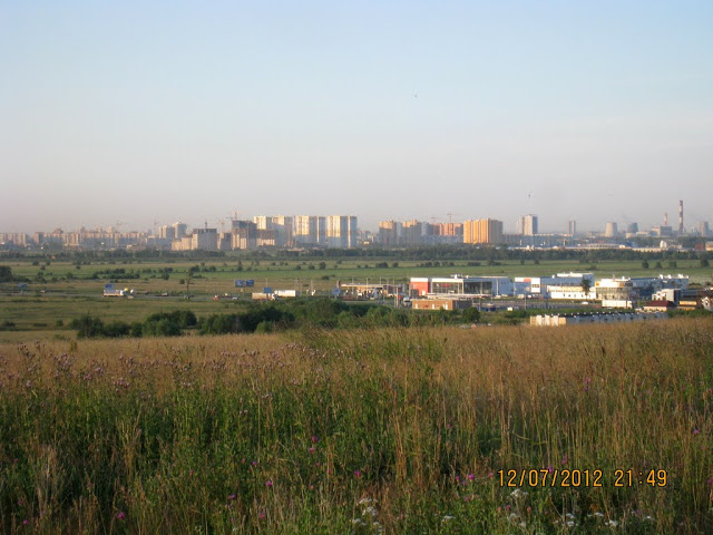 IMG_7987.jpg