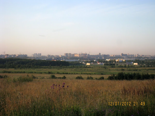 IMG_7988.jpg