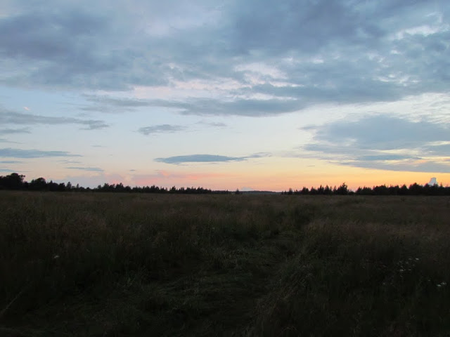 IMG_7518.jpg