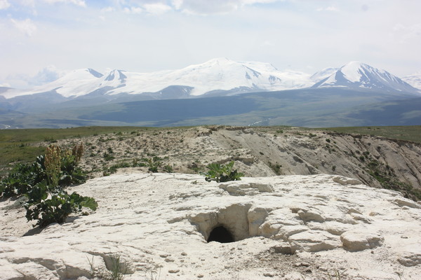 i-5165.jpg