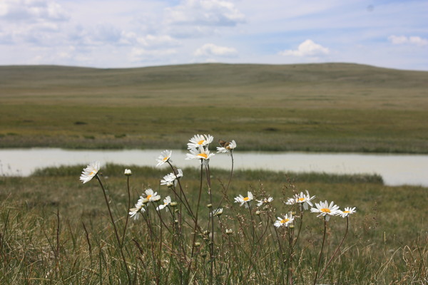 i-5167.jpg