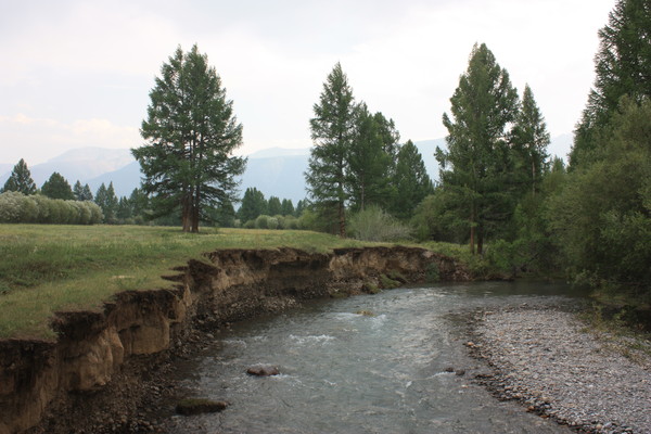 i-5179.jpg
