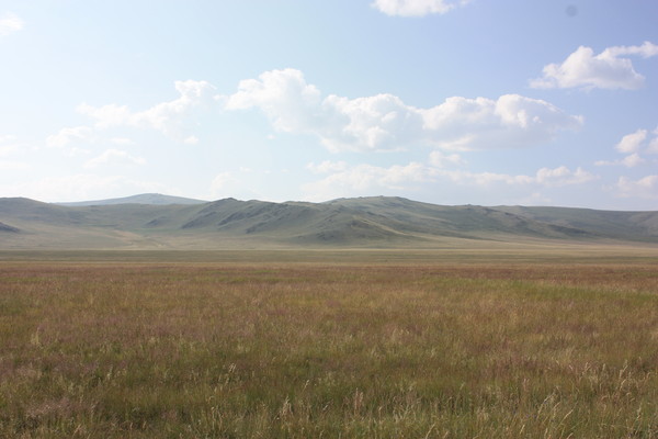 i-5202.jpg