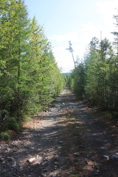 i-5328.jpg