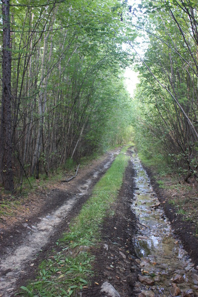 i-5335.jpg