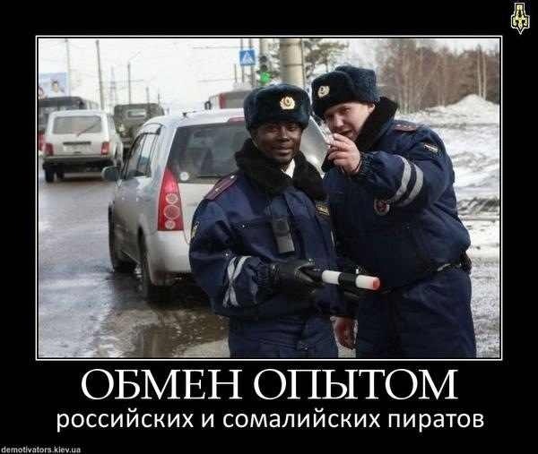 YkZmxkTLs78.jpg