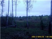 665790e2ae10t.jpg