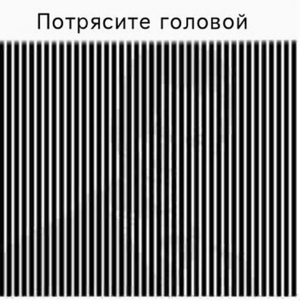 50431.jpg
