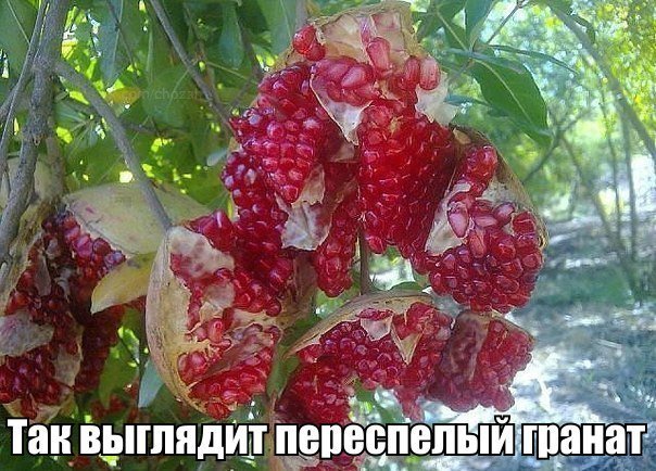 146718e72a7b.jpg