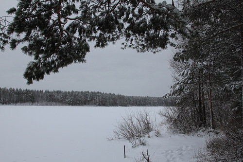 0_b4956_30127084_L.jpg