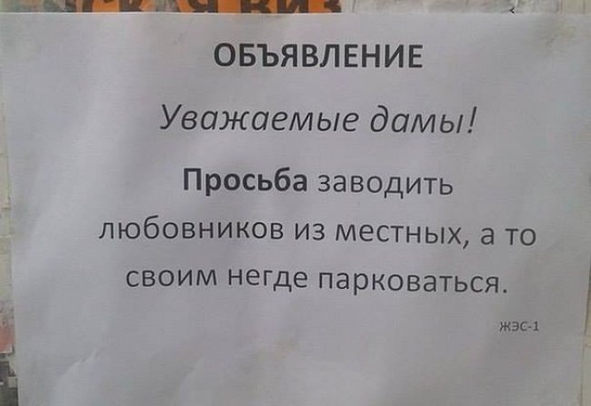 SWydvL15qTI.jpg