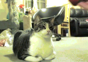 1392161190-e119d7bf71d0ba135093d97e1b5c8893.gif