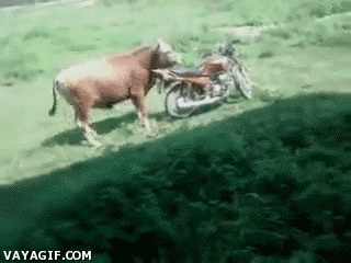 1395928393-1077620fdd9bc129434975f90747d5fb.gif