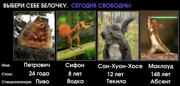 556a81c95008f_7kARjJcy5Mk.jpg