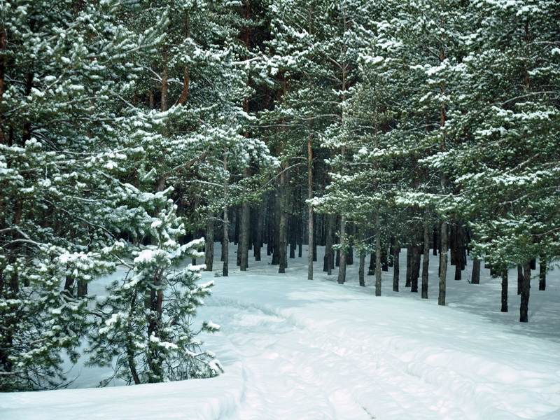 image?view=image&format=raw&type=orig&id=138.jpg