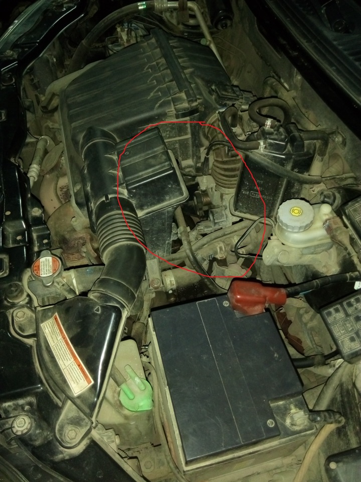 6c1d172e8b95.jpg