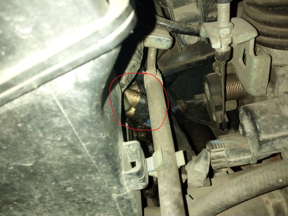 4cab6b6148fe.jpg