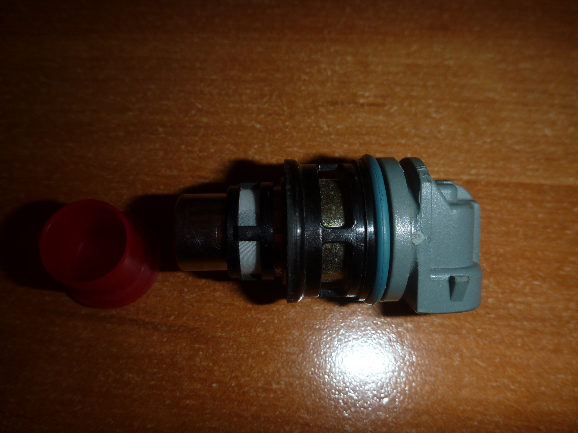 P1210729.JPG