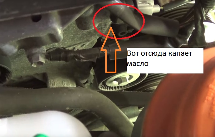 NSGV_datchik2.jpg