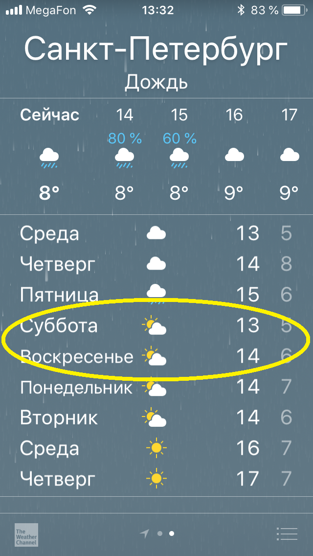 IMG_5596.PNG