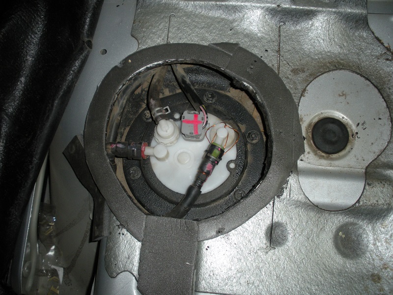 DSCN1379.JPG