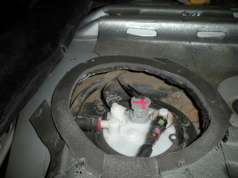 DSCN1381.JPG
