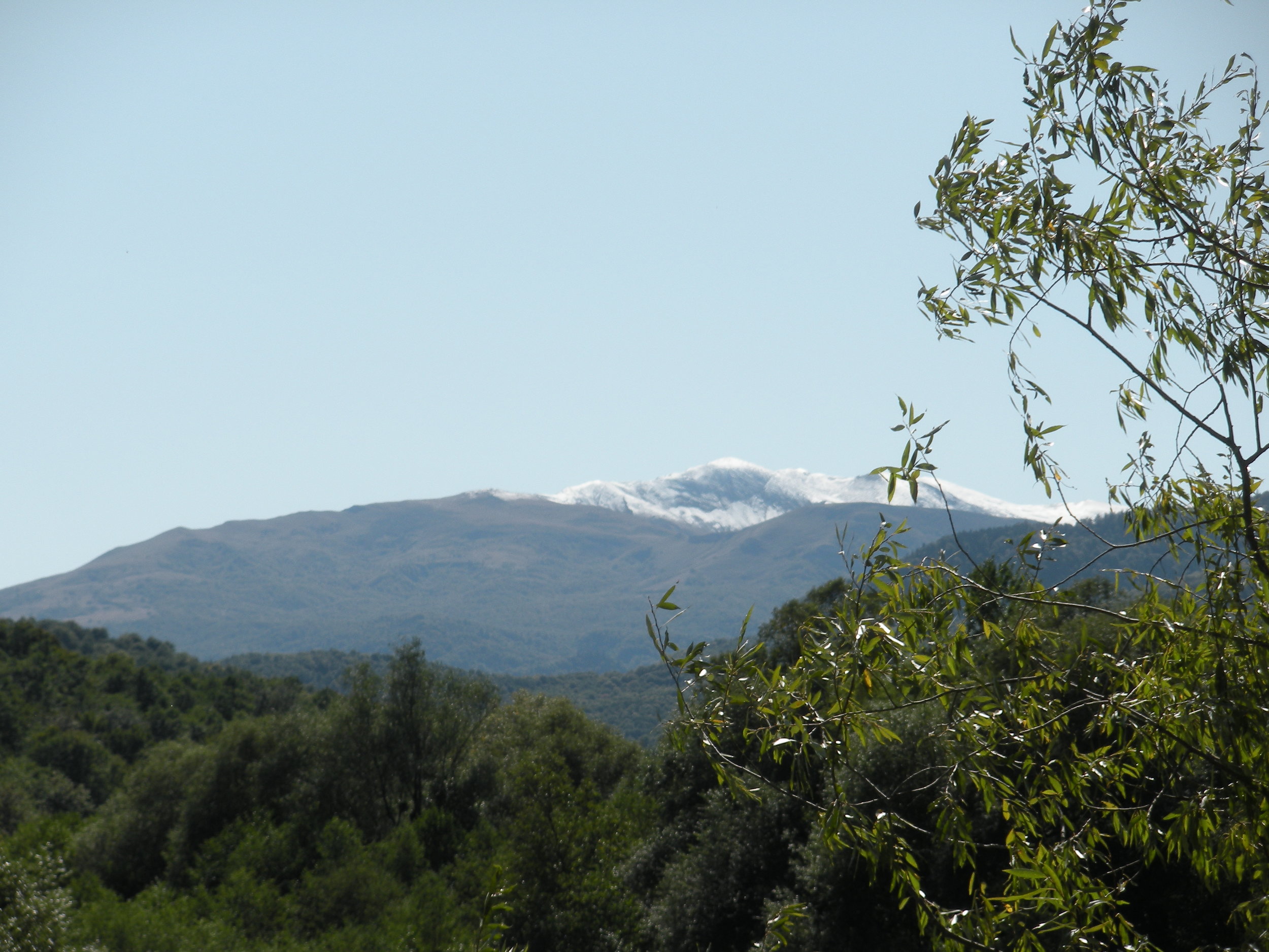 DSCN1531.JPG