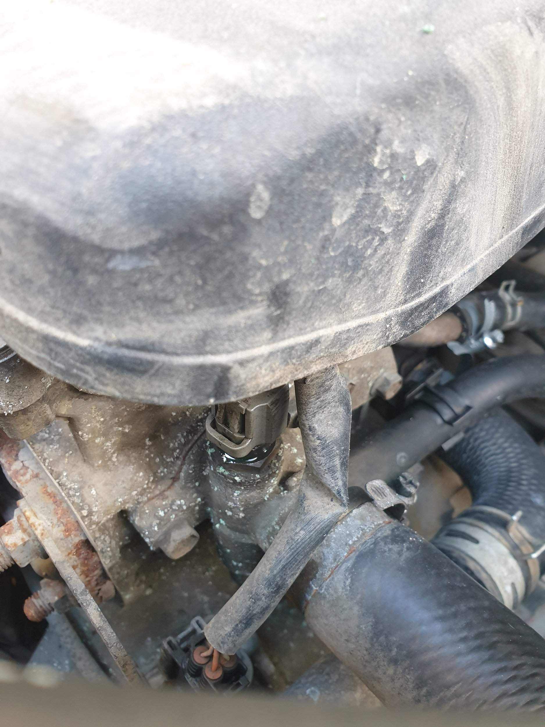 20191130_124326.jpg