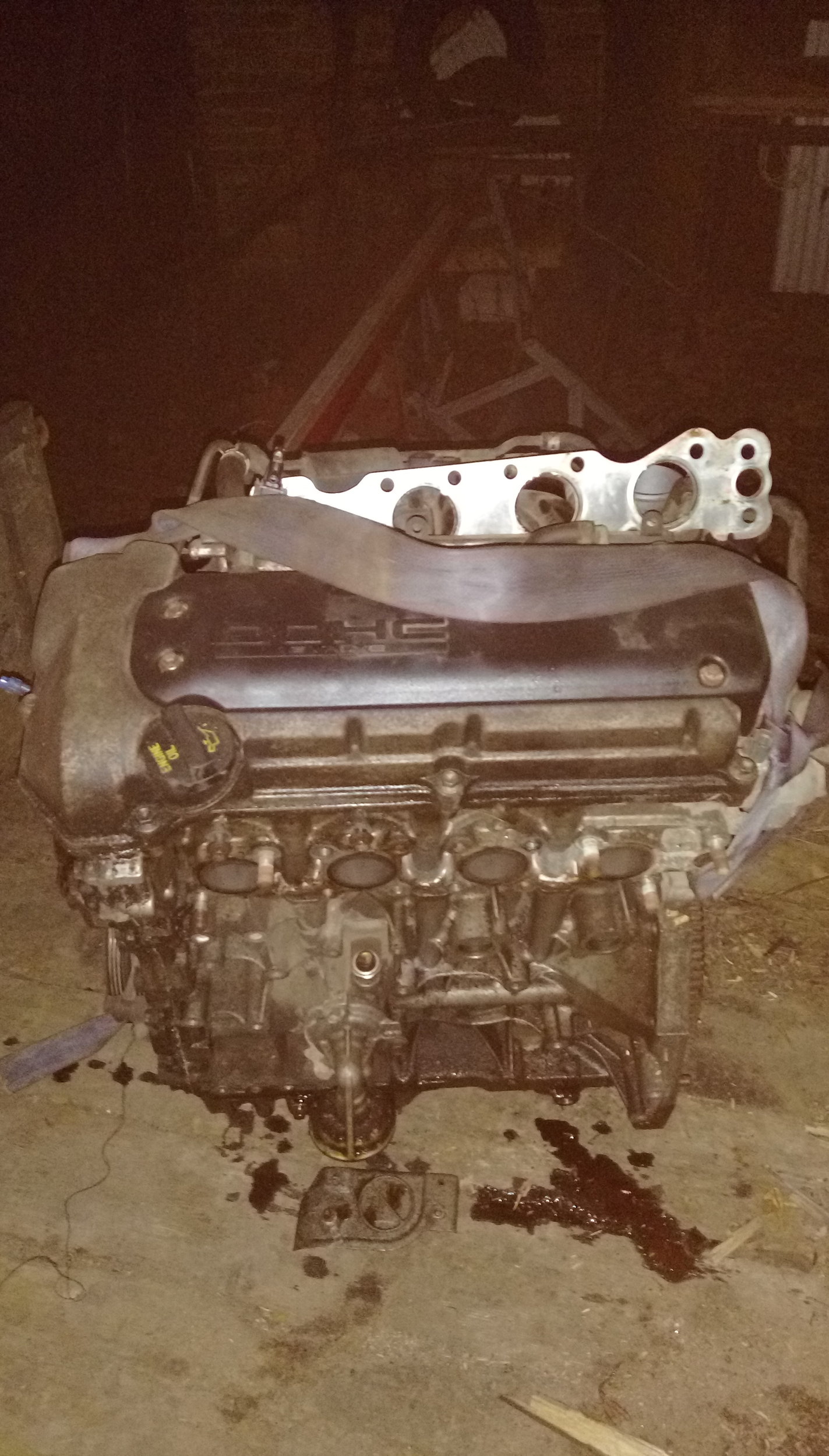IMAG5450.jpg
