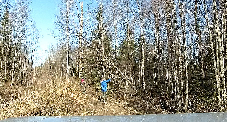 Секатор_1.jpg
