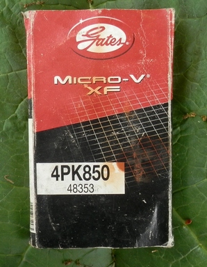 P6113013 (Копировать).JPG