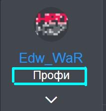 ПРОФИ.jpg