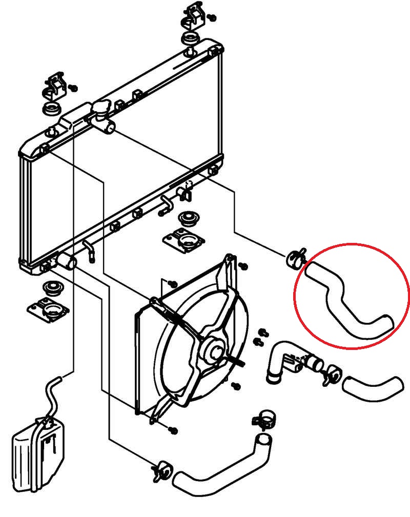Шланг системы охлаждения | SUZUKI CLUB RUSSIA