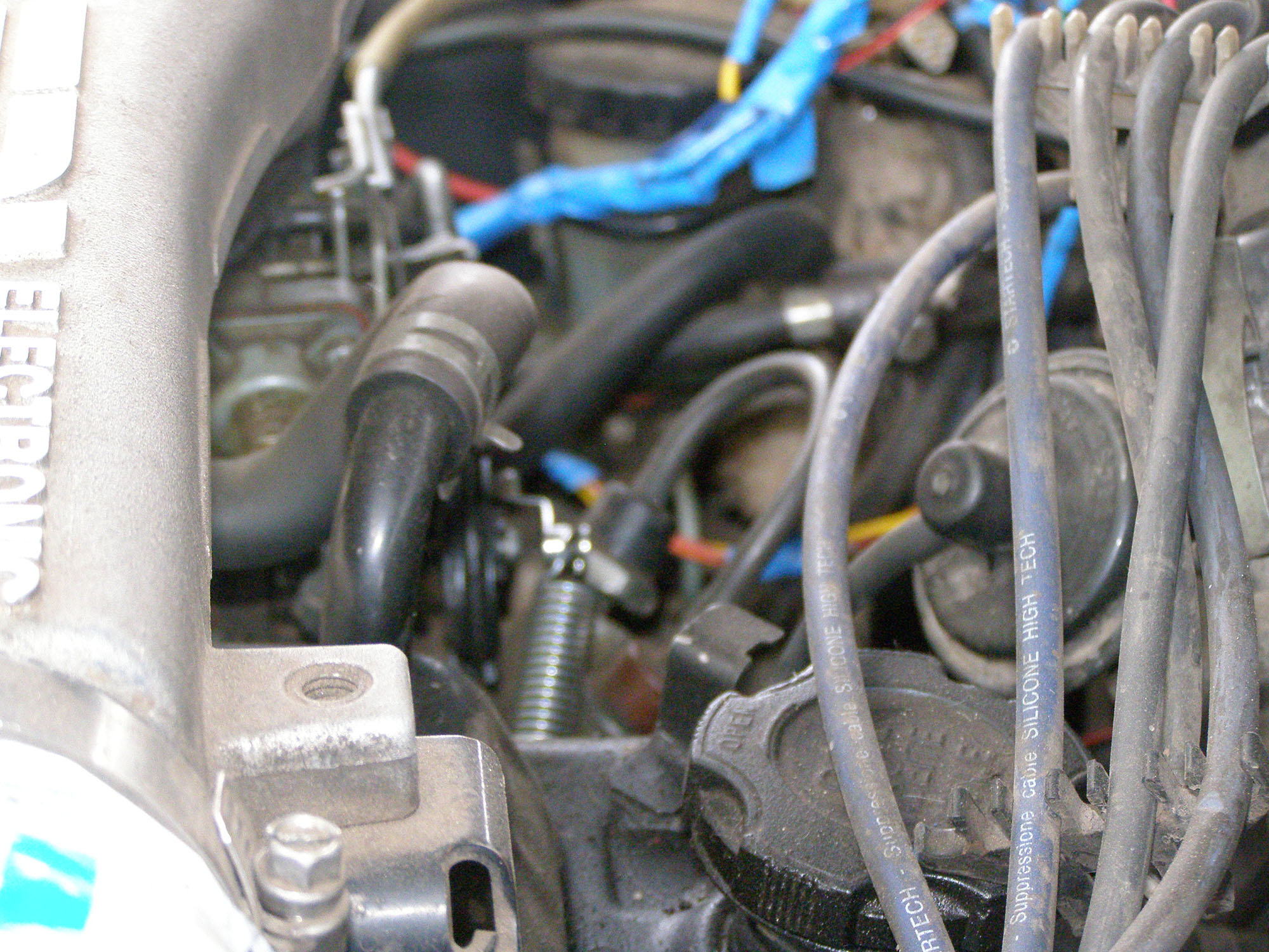 P4030005.JPG