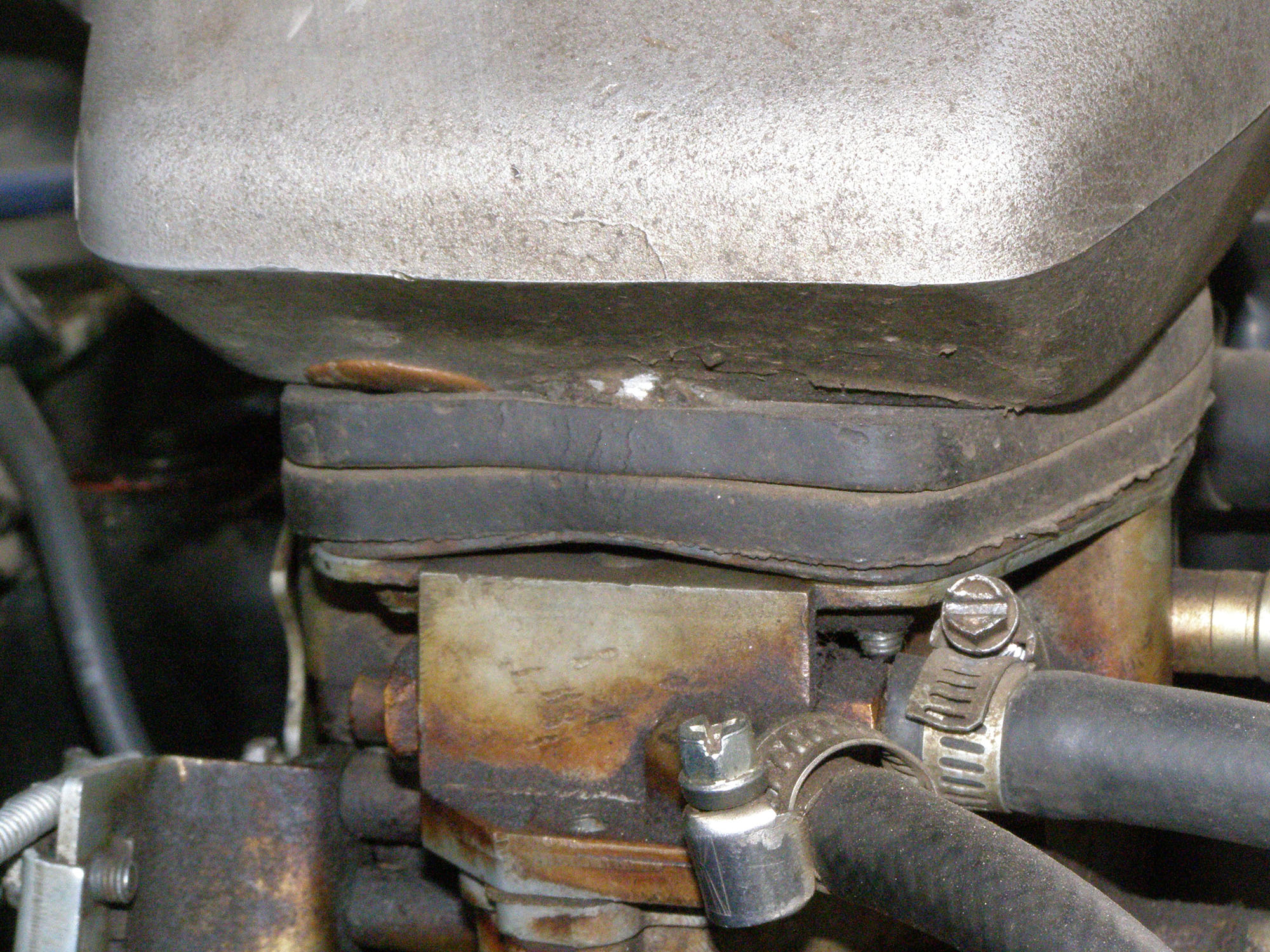 P4030009.JPG
