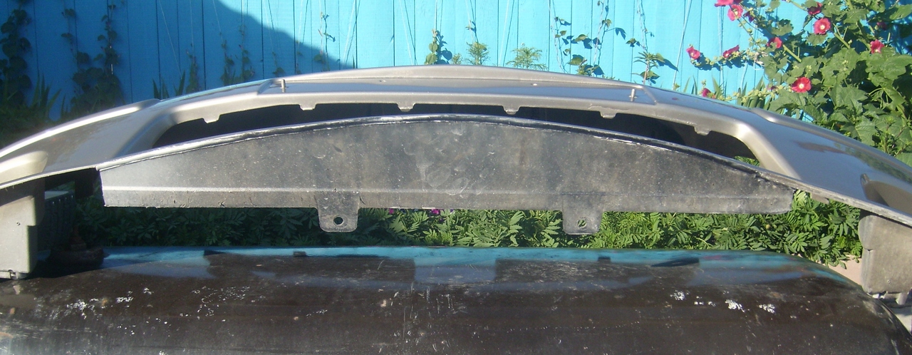SL730335.JPG