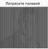 50431_2.jpg