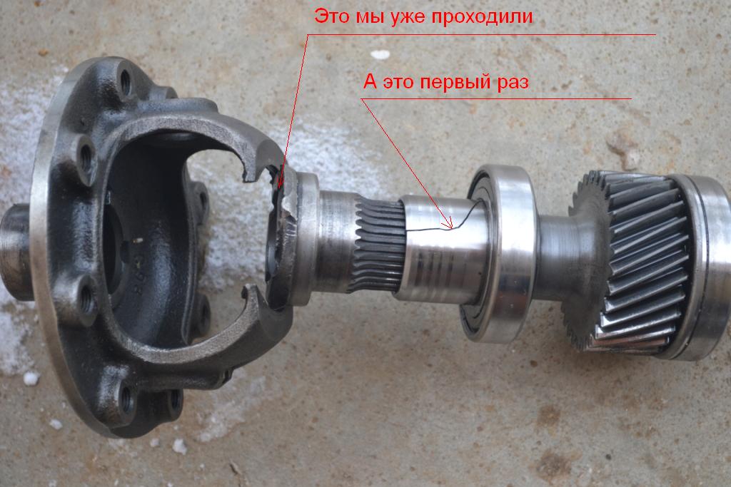 DSC_0592ср.JPG