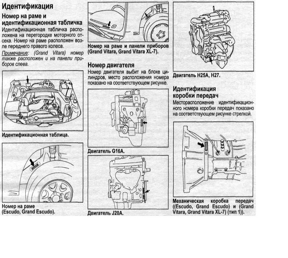 Подскажите где искать номер кузова | SUZUKI CLUB RUSSIA