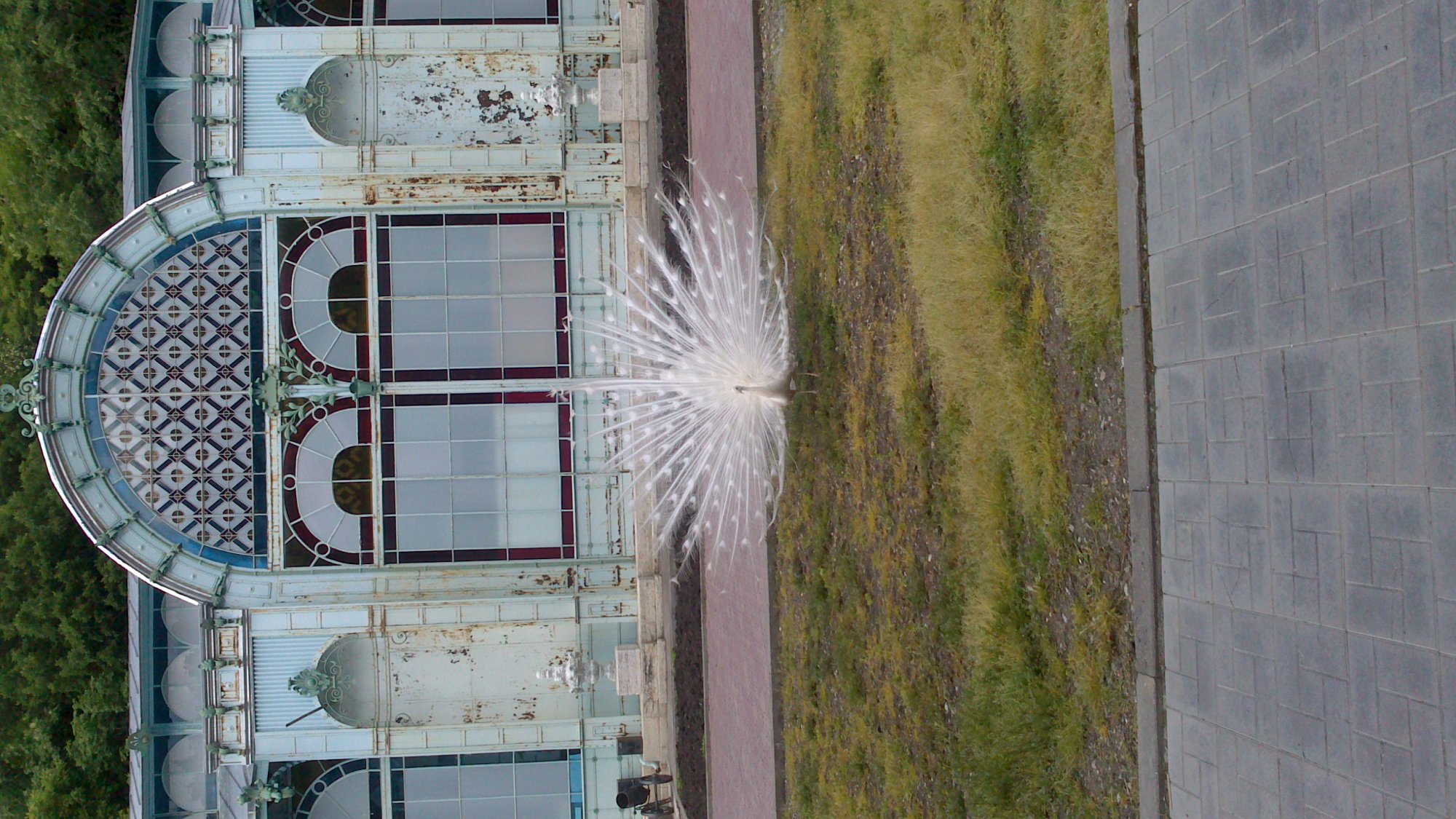 DSC_0613.jpg