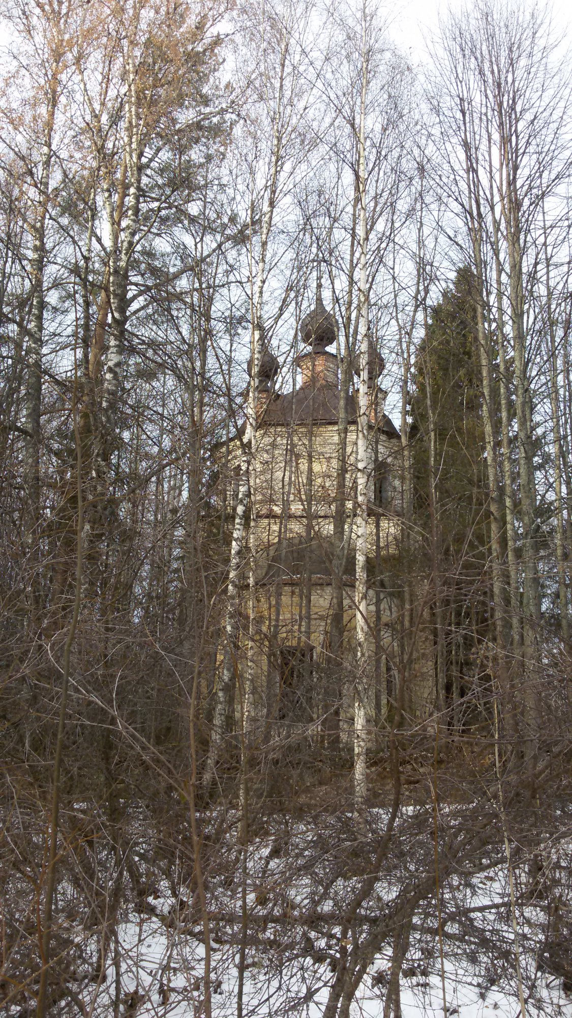 20141103_104856.jpg
