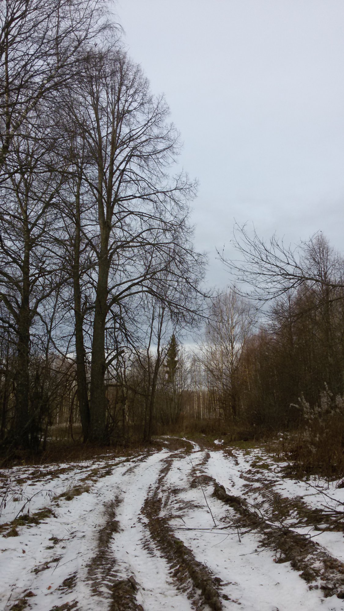 20141103_105040.jpg