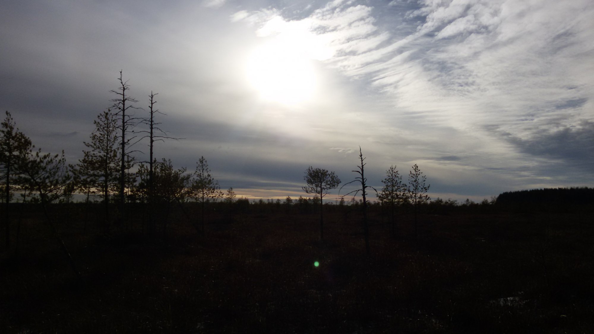 20141103_114118.jpg