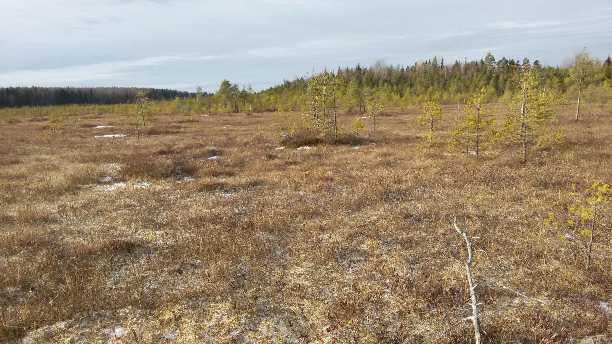 20141103_114412.jpg