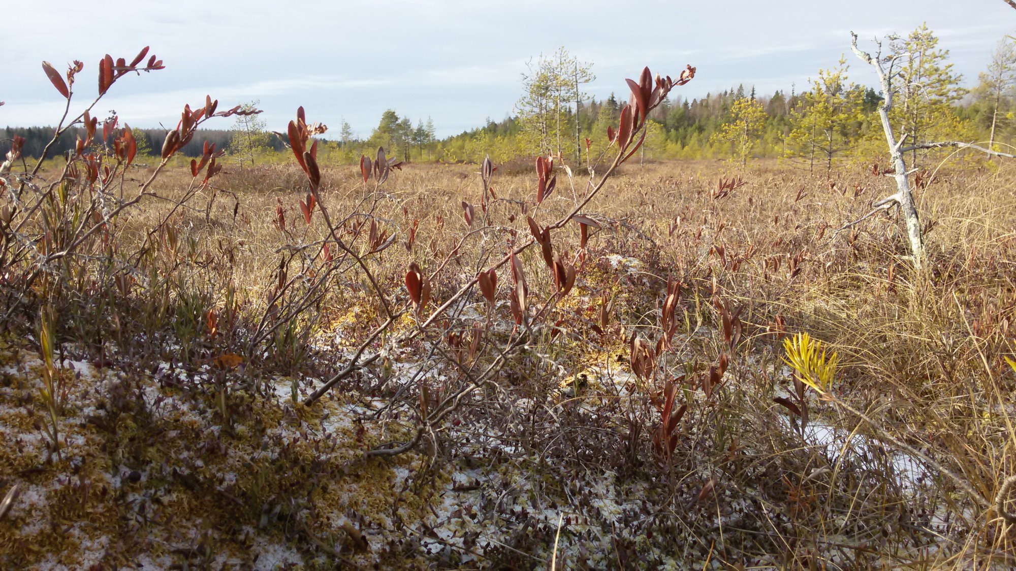 20141103_114423.jpg